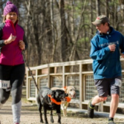 Dogs run with owners during the Fast and Furriest 5k Run/Walk in Midland City Forest, Midland Mich. on Saturday, April 28, 2018.